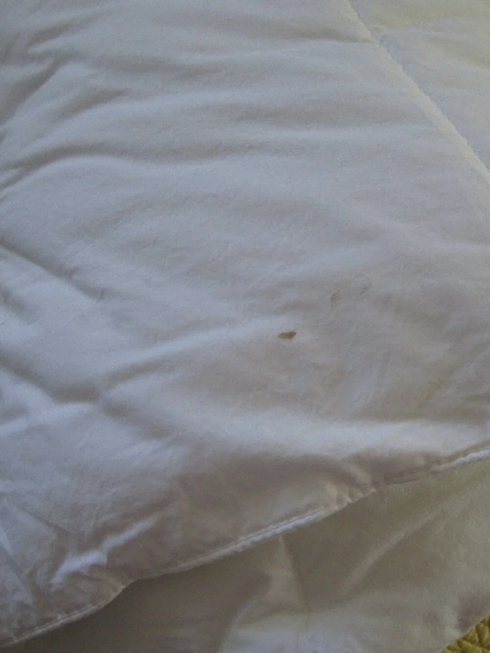 Lauren Ralph Lauren designer down